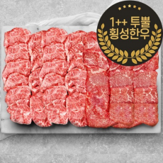 1++ 투뿔 횡성한우 구이 배부른 마블링 모둠 한판 2종 세트 800g